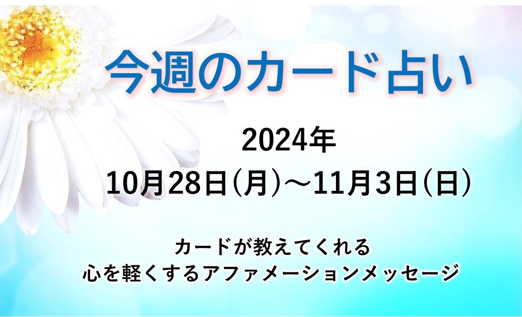 2024年10月28日～11月3日