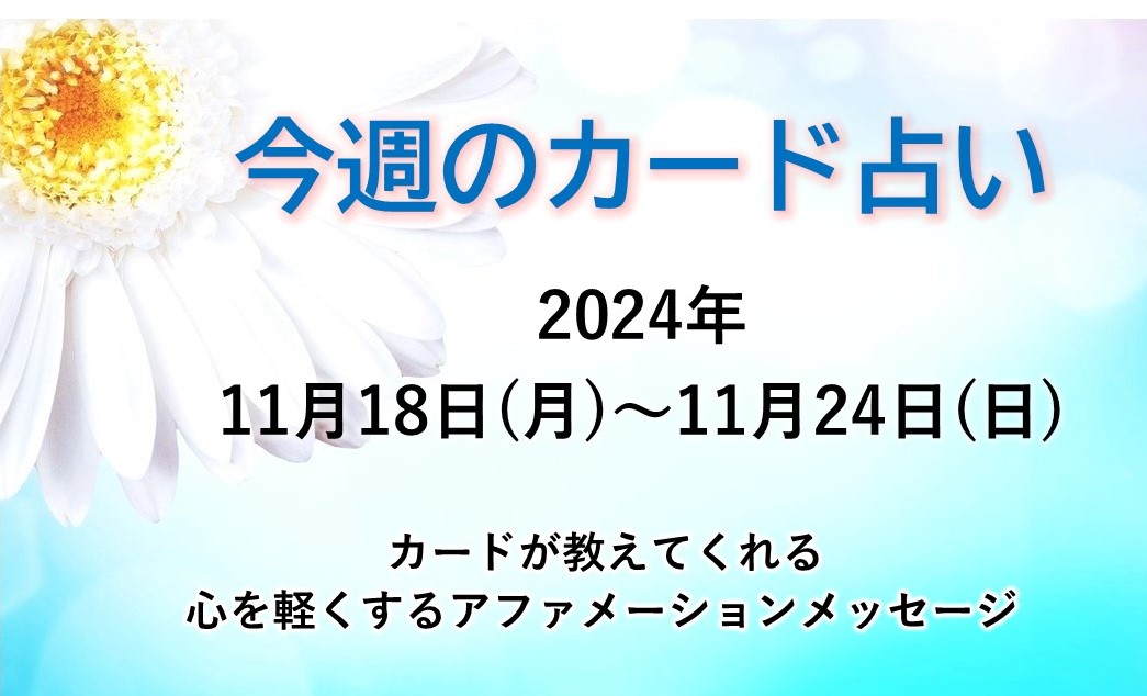 11月18日～24日