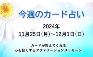 11月25日～12月1日