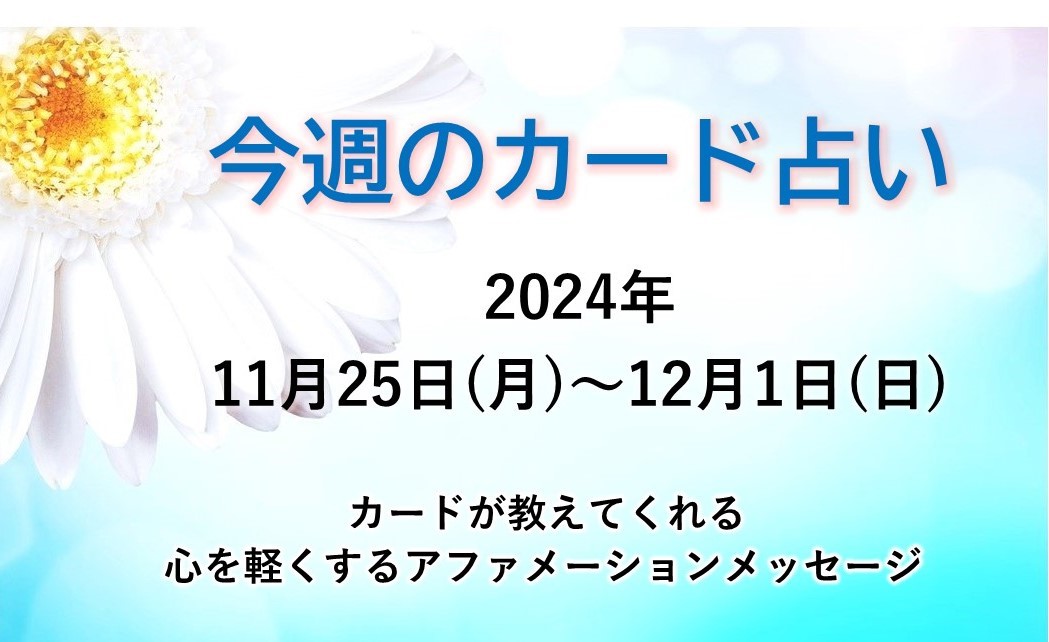 11月25日～12月1日