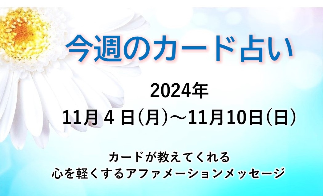 11月4日～11月10日